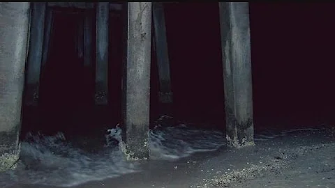 Man drowns near Naples Pier