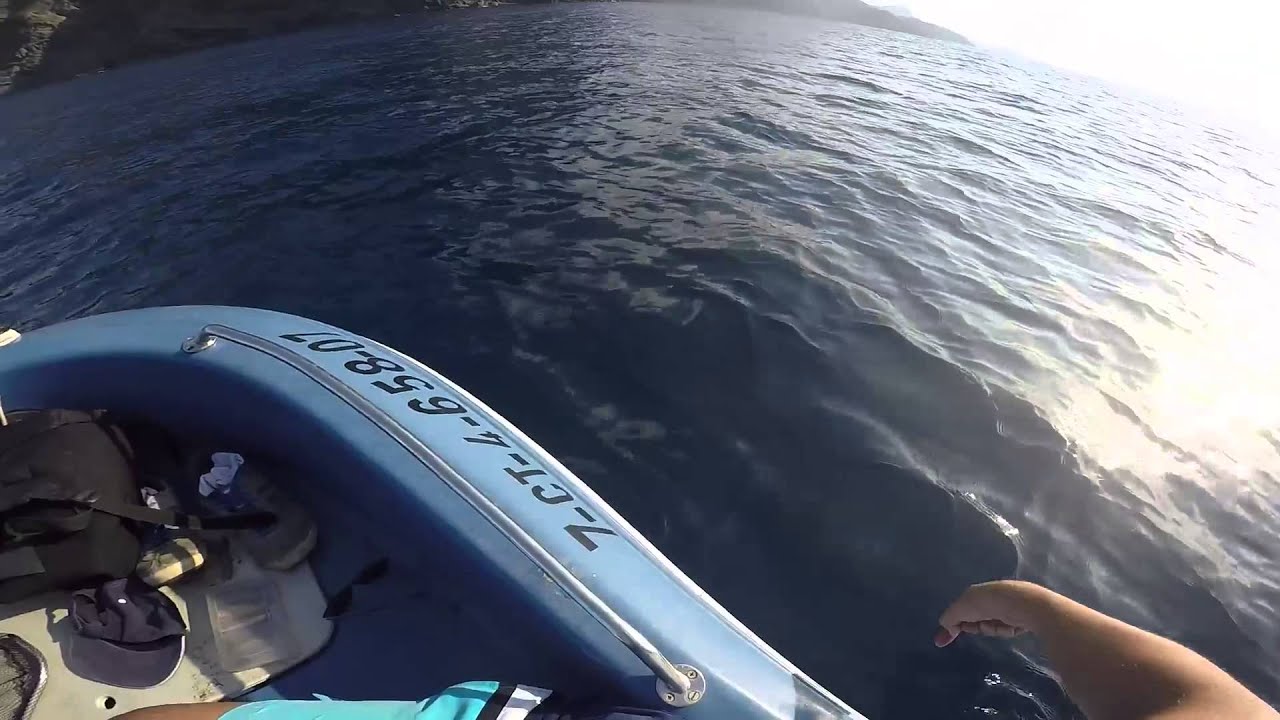 Llampugas jigcasting