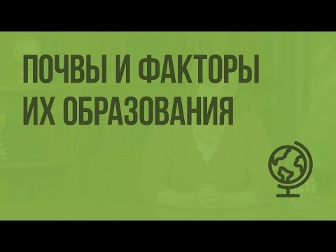 Почвы и факторы их образования. Видеоурок по географии 8 класс