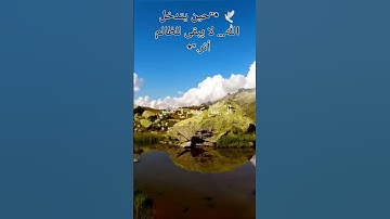 سورة الفيل بصوت ماهر المعيقلي  تلاوة خاشعة تروي قصة نصر الله العظيم 🕋🕊️