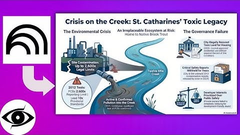 How to Create Best Infographics with NotebookLM