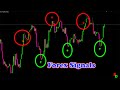 Forex Signals from MT4 Indicator - YouTube