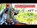 Pemancing pasti betah disungai ini,karena masih banyak sambaran udang nya
