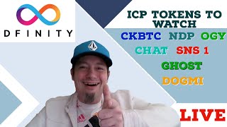 The Internet Computer Icp Tokens Set To Explode