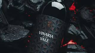 K391   Rry  Aurora albert Vishi Remix 2021