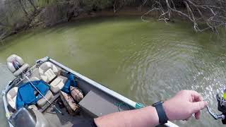 Fishing for White Bass on The Coosa River