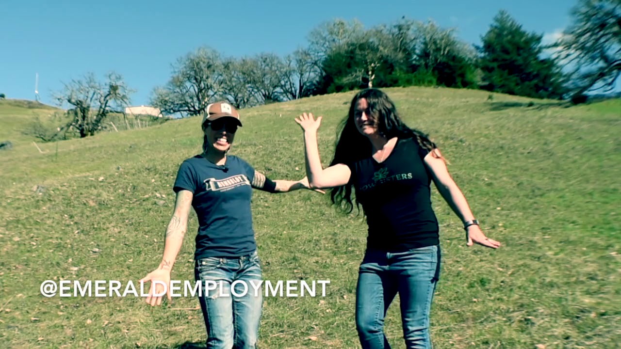 Grow Sisters Grow Your Own Summer Project 2018