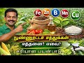 மகசூல் ரகசியம் | Micronutrients in Agriculture | நுண்ணூட்டச் சத்துகள் எவை? எப்படி பயன்படுத்துவது? MN