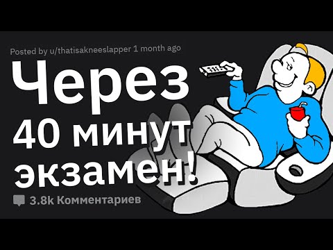 ЛЮТЕЙШИЕ Пофигисты, Которые Вам Встречались 🤪