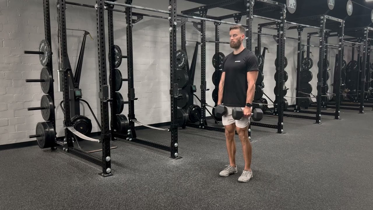 Dual Dumbbell RDL - YouTube