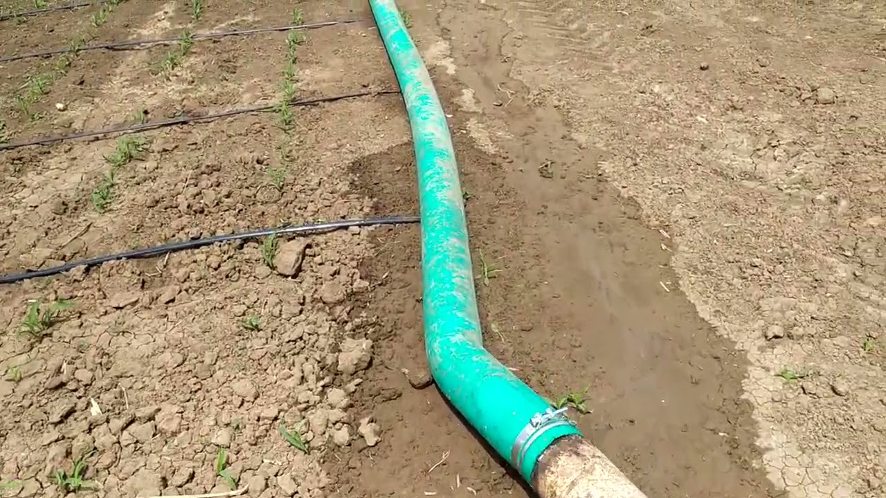 Капельний полив кукурузки,помпа Мерседес з ПН-40.