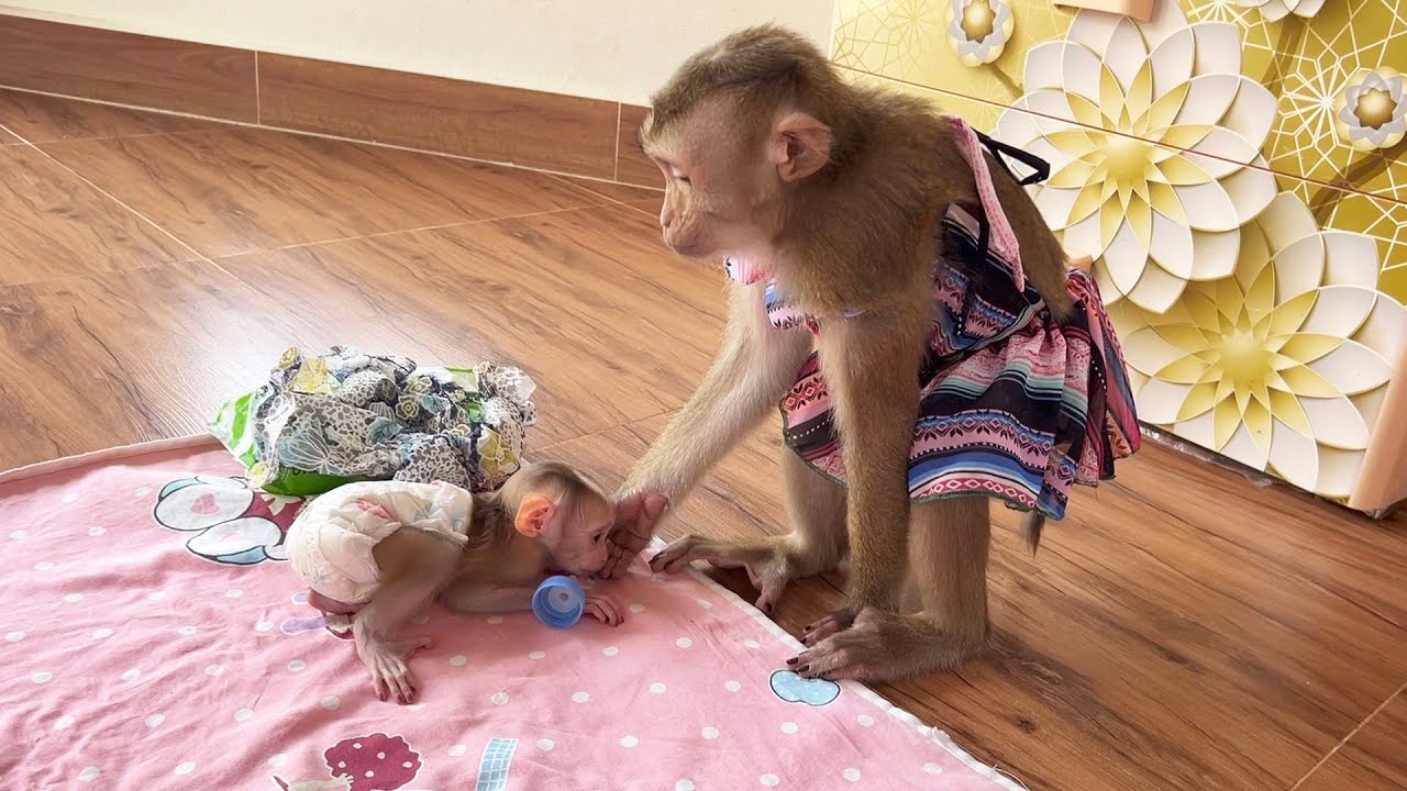 Judee Try To Comfort Tiny JOYEE To Stand Up To Play With
