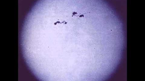 S U R V I V E - Scalar Wave MNQ 026