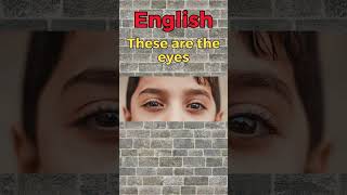 These are the eyes. The 5-minute-a-day way to learn German.