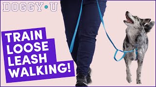 Loose Leash Walking Training: Figure 8 Walking Exercise (Heeling Pattern Games, Part 2)