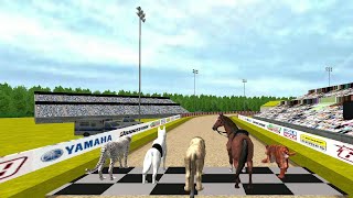 Wild Lion Racing Fever : Animal Race #9 | Lion Vs Tiger Real Fight screenshot 4