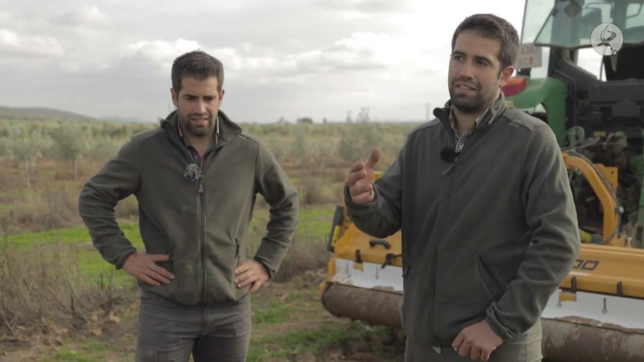 Esta es la práctica ecoesquema que realizan Los Mellis en su explotación | El campo es vida