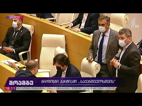ბრიფინგი პარტიაში „საქართველოსთვის“
