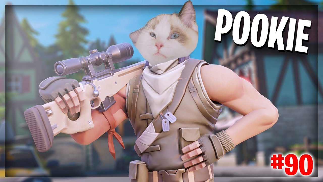 Il Est Enfin Arrive Premier 90 Degre De Mon Chat Best Of Live Fortnite 90 Youtube