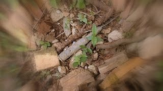 A Metal Detecting Treasure Finding Romp On The River