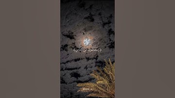 سورة النساء (١٠٨) || الشيخ ياسر الدوسري❤. #قرآن #ارحقلبك #اكتب_شي_تؤجر_عليه #ياسر_الدوسري❤.