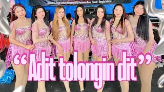 ADIT TOLONGIN DIT cover VERSI MUSIK BERGOYANG