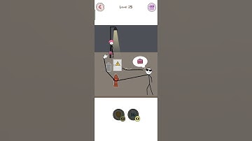 Thief Puzzle Level 25