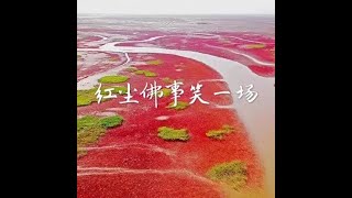 201705 红尘佛事笑一场40459