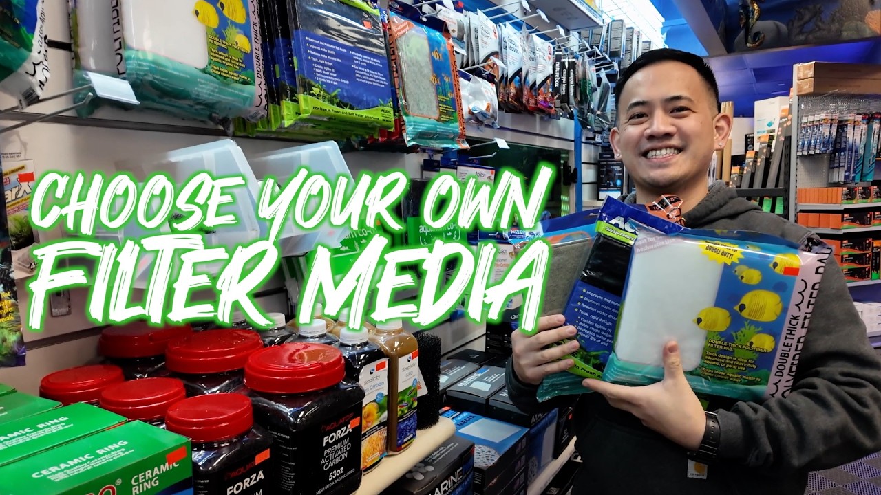 HOW TO CHOOSE FILTER PADS FOR YOUR FISH TANK