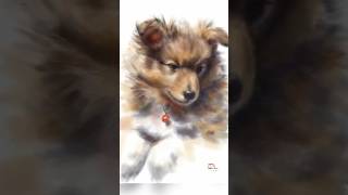 Drawing of a Sheltie Puppy #shorts