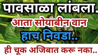 पावसाळा लांबला सोयाबीन पेरणी साठी हेच वान निवडा नाही तर होईल नुकसान ?