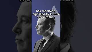 Elon Musk: Twitter says parts of source code leaked online