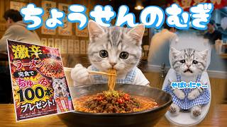 【社畜ねこのむぎ】チュール100本のご褒美に釣られて 人生初の『激辛ラーメン』に挑んでみた結果…
