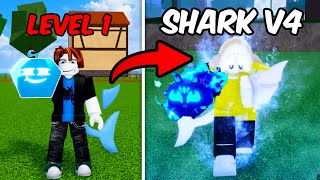 Going From Noob To Awakened Shark V4 With Only BLUE Fruits (Blox Fruits)