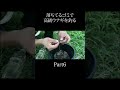 落ちてるゴミで高級ウナギを釣る Part6 #サバイバルキング