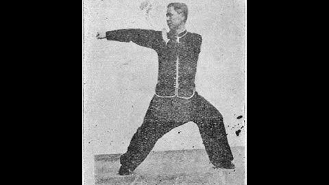 崩捶 Part 33: Absorb and Sink Stance, Filling Punch Preceding [Praying Mantis Kung Fu 螳螂拳]