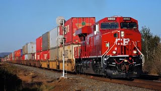 Fast Canadian Pacific freight train at close range along an Ontario, Canada, trail.