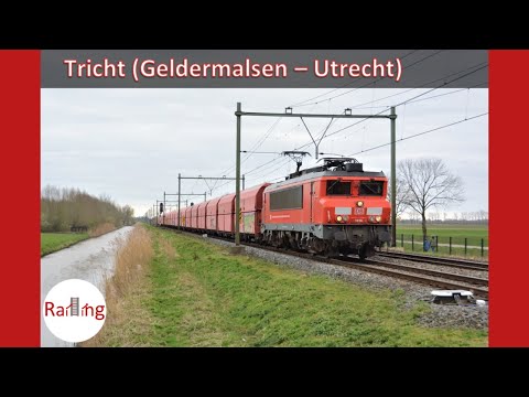 Goederentreinen bij Geldermalsen | DB Cargo 1600, Dinnertrain, Fairtrains 1304 en Sharky (193 623)
