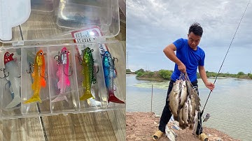 Chi tiết mồi cá mềm giá rẻ câu lure cá chẽm | họp 5 con 130.000 bao ship