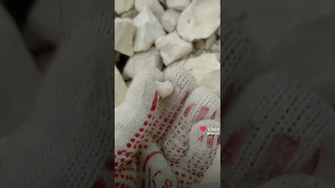 Брахиопода Любви