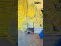 #viralvideo #travel #viral #trending #cages #pinjra
