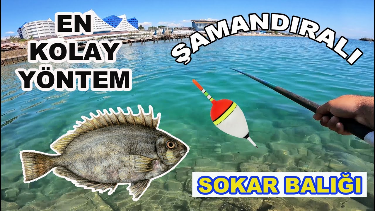 Balık Avı - Kıyıdan Dünyanın En Kolay Sokar Balığı Yakalama Tekniği...