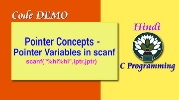 2D HINDI Pointer Concepts - Pointer Variables in scanf Code DEMO