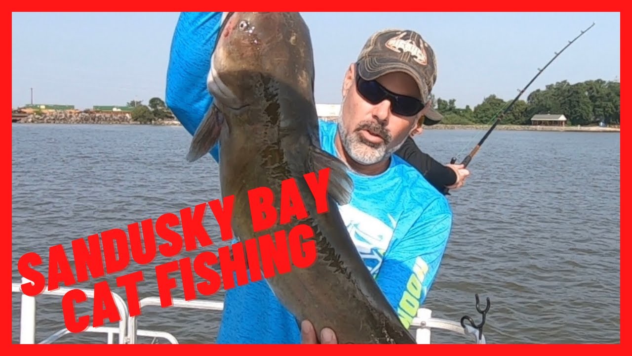 Sandusky Bay cat fishing YouTube