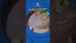 Bikin rumah potong ayam bebas bau dan aman dari sidak Dinas Lingkungan Hidup? Bisa banget! 😉