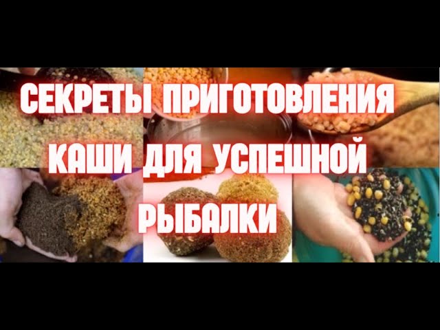 Секреты приготовления каши для рыбалки. Каши для ловли карпа и сазана.