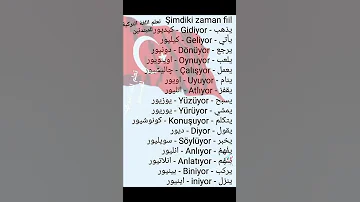 تعليم اللغة التركيه 