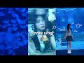 Korea vlog🪼: starfield library, coex aquarium, ice skating, visiting a zoo, hangang ramen & cruise