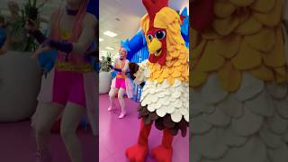 Gallo infantil #videosinfantiles #cantajuegos