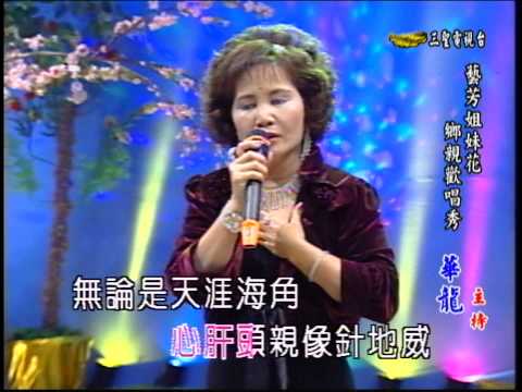 藝芳姊妹花 第33集 你是我尚深的痛 (小菁)